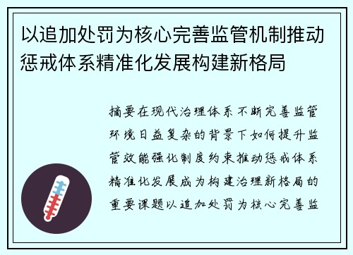 以追加处罚为核心完善监管机制推动惩戒体系精准化发展构建新格局